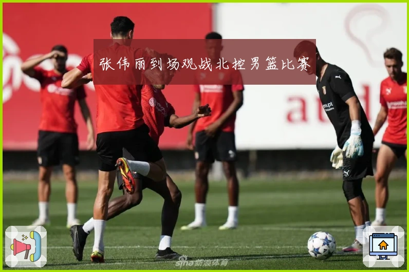 张伟丽到场观战北控男篮比赛