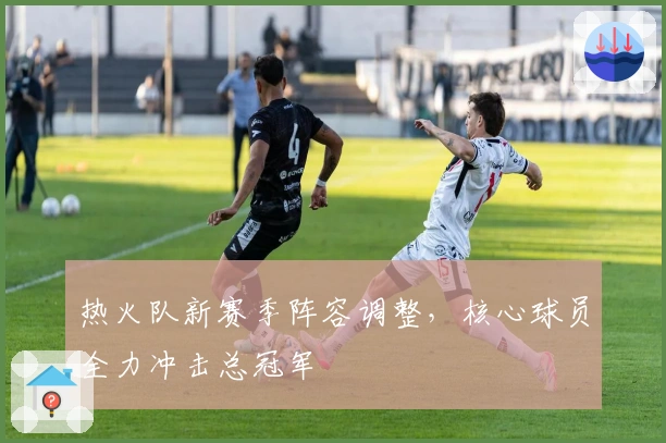 热火队新赛季阵容调整，核心球员全力冲击总冠军
