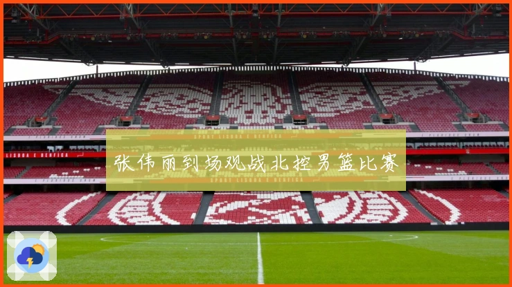 张伟丽到场观战北控男篮比赛